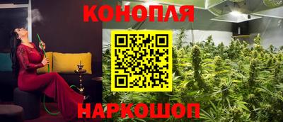 PSILOCYBIN Гусиноозёрск